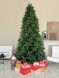 Ель «Сказочная» - 5,5 м