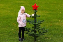 Топиари елка со звездой — газон Eco