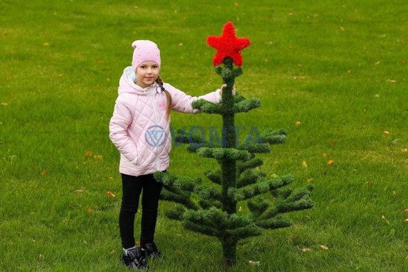 Топиари елка со звездой — газон Eco