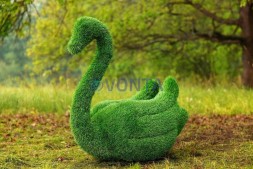 Топиари лебедь Чепелия — газон Eco Green