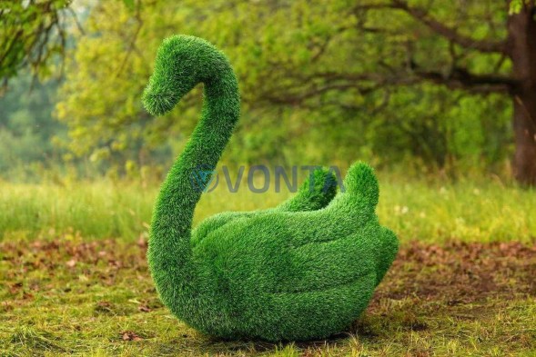 Топиари лебедь Чепелия — газон Eco Green