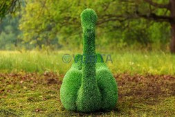 Топиари лебедь Чепелия — газон Eco Green