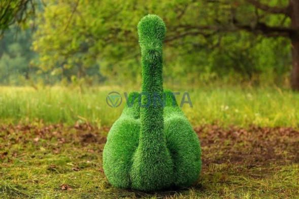 Топиари лебедь Чепелия — газон Eco Green