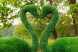 Топиари лебедь Чепелия — газон Eco Green