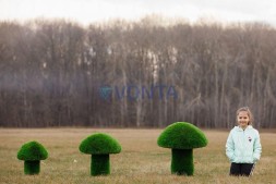 Топиари гриб белый, h=60 см — газон Eco