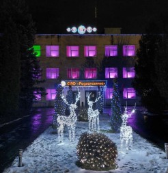 Композиция световых фигур «Семья оленей» Каркас