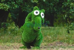 Топиари белка с орехом — газон Premium
