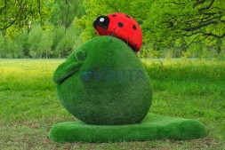 Топиари композиция божья коровка на яблоке Гренни — газон Eco Green + Eco