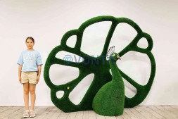 Топиари павлин королевский — газон Eco