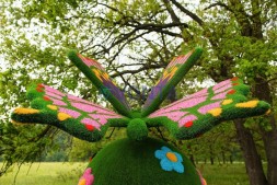 Топиари композиция бабочка на шаре поляна — газон Eco + Eco +