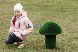 Топиари гриб белый, h=70 см — газон Premium