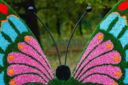 Топиари бабочка Полетта, 1 шт — газон Eco