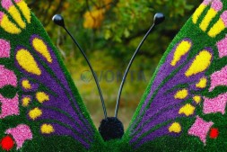 Топиари бабочка Полетта, 1 шт — газон Eco