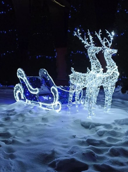 Световая фигура «Сани Деда Мороза в Упряжке»