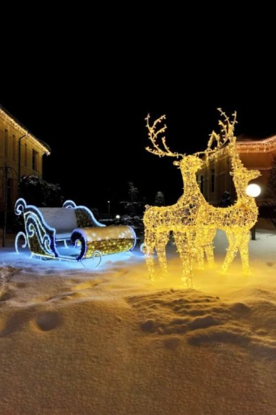Световая фигура «Сани Деда Мороза в Упряжке»