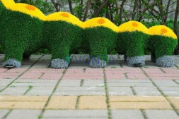 Топиари гусеница, h=110см — газон Есо