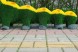 Топиари гусеница, h=110см — газон Есо