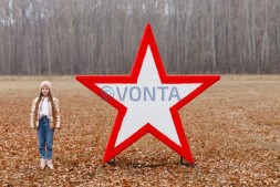 Топиари звезда 2-х сторонняя — газон Eco