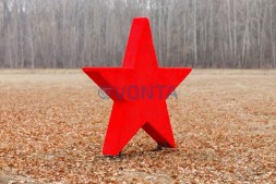 Топиари звезда 2-х сторонняя — газон Eco