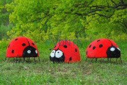 Топиари божья коровка Бонита, h=55 см — газон Eco