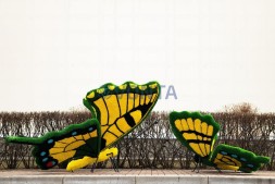 Топиари композиция бабочки Барбариска и Искорка — газон Eco