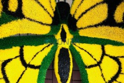 Топиари композиция бабочки Барбариска и Искорка — газон Eco