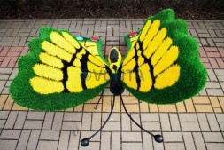 Топиари композиция бабочки Барбариска и Искорка — газон Eco