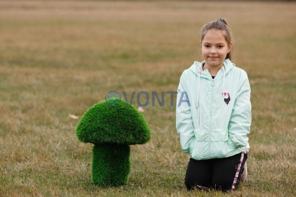 Топиари гриб белый, h=40 см — газон Premium