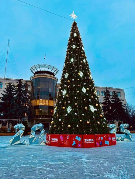 Ель каркасная «Уральская» - 24 м