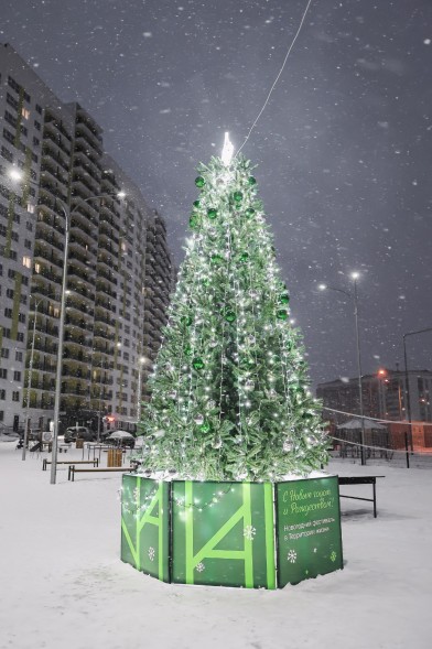 Ель ствольная «Альпийская» - 5,5 м