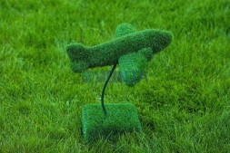 Топиари самолет — газон Eco