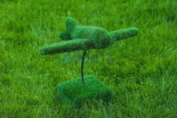 Топиари самолет — газон Eco