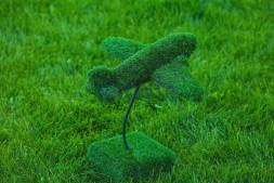 Топиари самолет — газон Eco