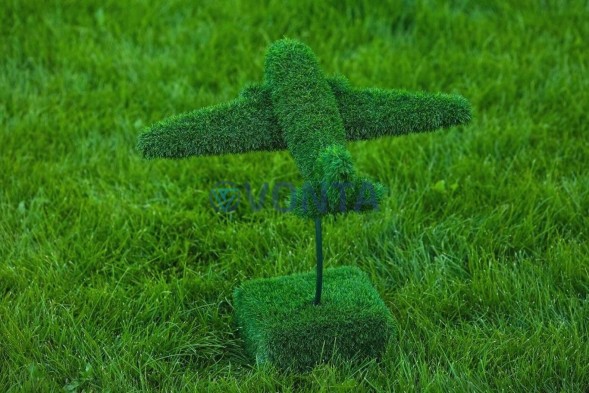 Топиари самолет — газон Eco