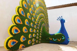 Топиари павлин радужный Мелани — газон Eco