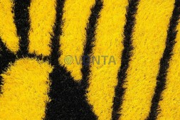 Топиари композиция бабочка на яблоке Гренни — газон Deluxe + Eco