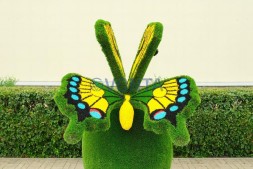 Топиари композиция бабочка на яблоке Гренни — газон Deluxe + Eco