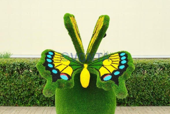 Топиари композиция бабочка на яблоке Гренни — газон Deluxe + Eco