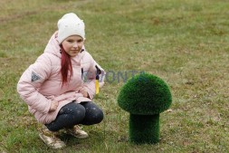 Топиари гриб белый, h=70 см — газон Eco