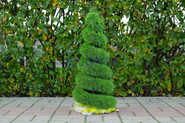 Топиари елка спиралька, h=60 см — газон Deluxe Simple