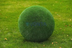 Топиари шар в виде куста туи, d=100 см — газон Eco
