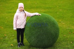 Топиари шар в виде куста туи, d=100 см — газон Eco