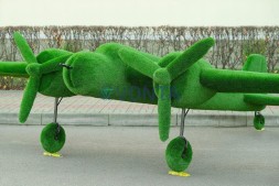Топиари самолет Победа — газон Eco