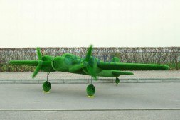 Топиари самолет Победа — газон Eco