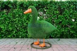 Топиари утка Кряша — газон Eco