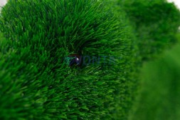 Топиари олень, малыш Том — газон Deluxe Green