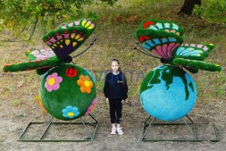 Топиари композиция поляна и глобус с бабочками — газон Eco