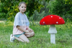 Топиари гриб мухомор стройный, h=65 см- газон Eco