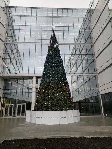 Ель каркасная «Уральская» - 27 м