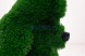 Топиари собака пудель — газон Deluxe Green
